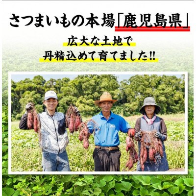 蜜焼き芋2kg(500g×4袋) 紅はるか 鹿児島産(垂水市)