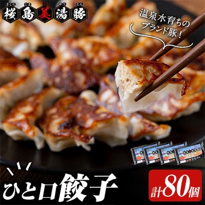 鹿児島県産 桜島 美湯豚 ひと口 餃子 計80個【大隅ミート産業】A1-0419