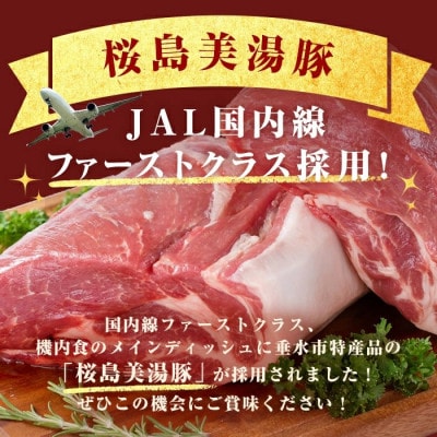鹿児島県産 桜島 美湯豚 ひと口 餃子 計160個【大隅ミート産業】A1-0420