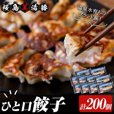 鹿児島県産 桜島 美湯豚 ひと口 餃子 計200個【大隅ミート産業】A1-0421