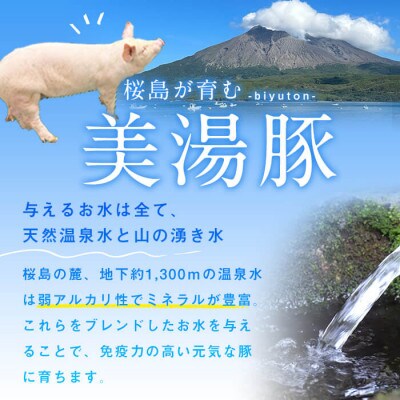 鹿児島県産 桜島 美湯豚 コロッケ 9個 3個入×3P 【大隅ミート産業】W-0406