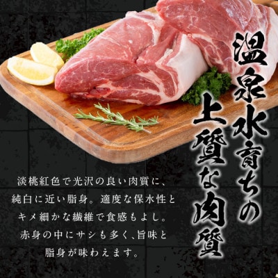 鹿児島県産 桜島 美湯豚 白豚 肩ロース ブロック 約2kg【大隅ミート産業】A1-0417