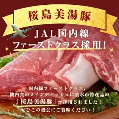 鹿児島県産 桜島美湯豚 味付き豚足 計1,360g(170g×8P)【大隅ミート産業】A1-0437