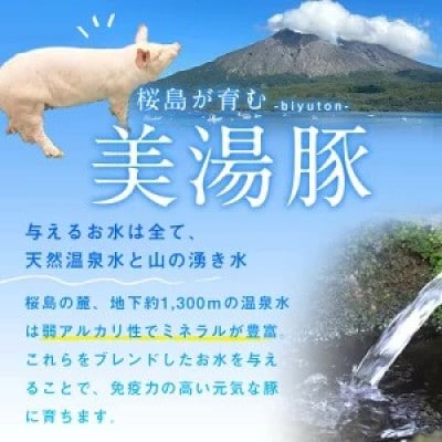 鹿児島県産 桜島美湯豚 味付き豚足 計1,360g(170g×8P)【大隅ミート産業】A1-0437