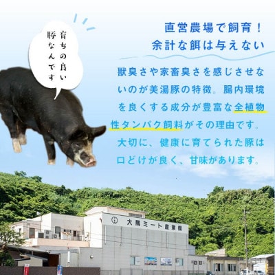 鹿児島県産 桜島美湯豚 4種セット 計4.2kg【大隅ミート産業】