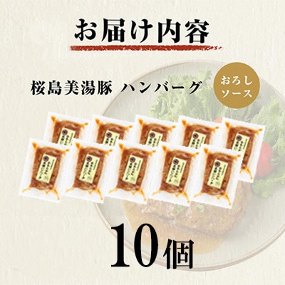 鹿児島県産 桜島美湯豚 おろしソース ハンバーグ 150g×10個【大隅ミート産業】A1-044