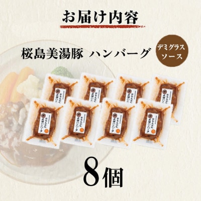 鹿児島県産 桜島美湯豚 デミグラスソース ハンバーグ 150g×8個【大隅ミート産業】A1-0436