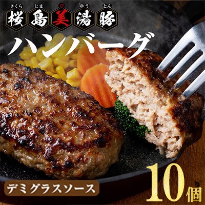 鹿児島県産 桜島美湯豚 デミグラスソースハンバーグ 150g×10個【大隅ミート産業】A1-0443