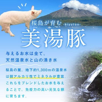 鹿児島県産 桜島 美湯豚 棒メンチカツ 計6本 3本入×2P【大隅ミート産業】W-0407