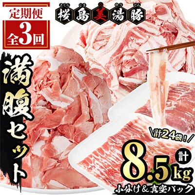 【毎月定期便】鹿児島県産 桜島美湯豚 満腹セット 計8.5kg(計24袋)【大隅ミート産業】全3回