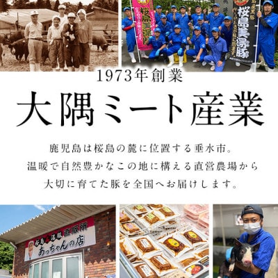 【毎月定期便】鹿児島県産 桜島美湯豚 満腹セット 計13.5kg(計39袋)【大隅ミート産業】全6回