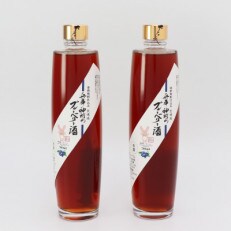 兵庫・神河のブルーベリー酒 500ml×2本