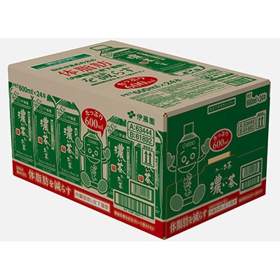 2023年12月発送開始『定期便』お～いお茶濃い茶600ml　48本(2ケース)全3回