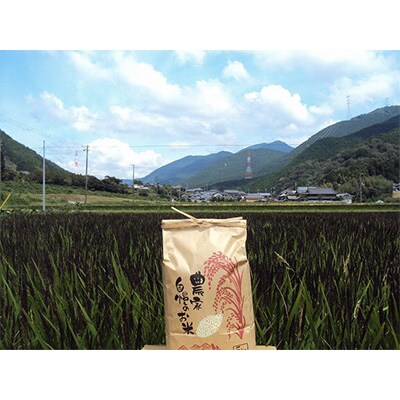 【令和4年産】みどりもち精米5kg
