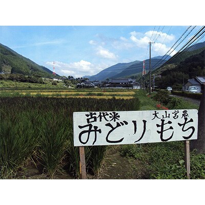 【令和4年産】みどりもち精米5kg