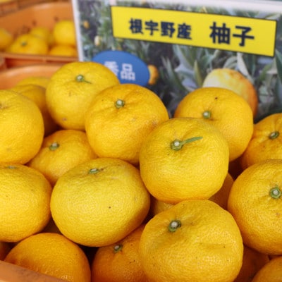 【神河町特産】根宇野(みよの)の柚子(ゆず) 約2kg　※2024年11月上旬頃から発送