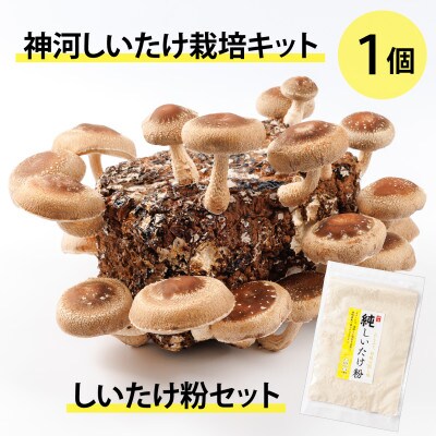 神河しいたけ栽培キット(しいたけ菌床)1個としいたけ粉セット　※10月～4月発送