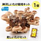 神河しいたけ栽培キット(しいたけ菌床)1個と乾しいたけセット　※5月～10月順次発送