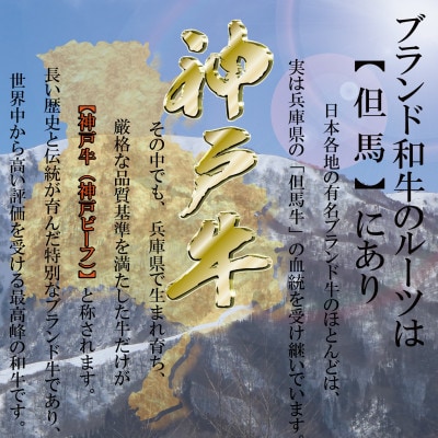 訳あり 神戸牛 サイコロステーキ(おまかせ) 500g KKWDS3【2026年4月より順次発送】