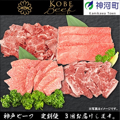 【発送月固定定期便】兵庫県の厳しい基準をクリアした「神戸ビーフ」を少しずつ小分けにしてお届け!全3回