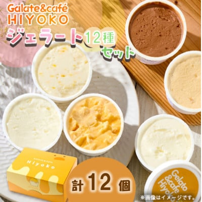 【兵庫県神河町発】ジェラート【おまかせ】詰め合わせ　90ml×12個
