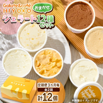 【3ヵ月毎定期便】【兵庫県神河町発】ジェラート【おまかせ】詰め合わせ　90ml×12個全2回