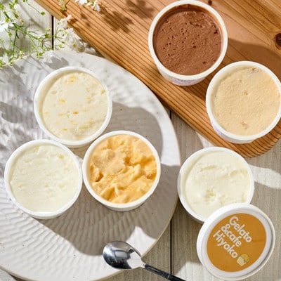 【3ヵ月毎定期便】【兵庫県神河町発】ジェラート【おまかせ】詰め合わせ　90ml×12個全4回