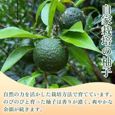 【仕上げにひと搾りで爽やか】生搾り100%柚子果汁 200g ×6個 1セット