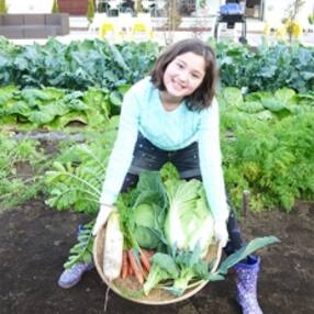 野菜の収穫体験引換券(1家族6名様まで)