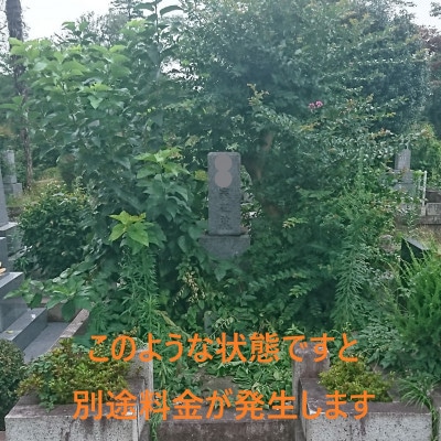 小金井市内のお墓掃除