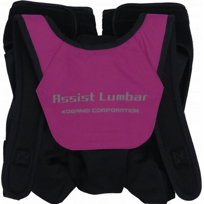 アシストスーツ　Assist　Lumbar (アシストランバー)Mサイズ、レッドバイオレット