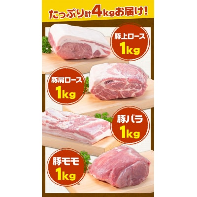 浅野農場厳選豚肉ブロック食べ比べセット
