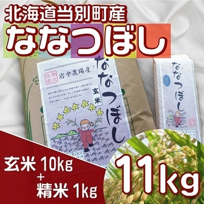【令和3年産】玄米ななつぼし10kgと精米1kg