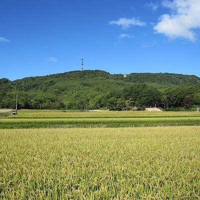 【令和3年産】玄米ななつぼし10kgと精米1kg