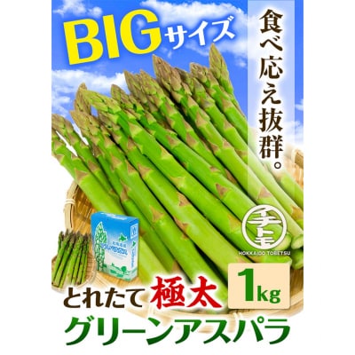 【令和8年発送先行受付】イチカワトモヒロ農場とれたて極太グリーンアスパラ1kg