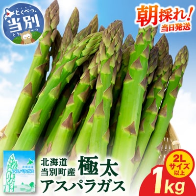 【令和8年発送先行受付】イチカワトモヒロ農場とれたて極太グリーンアスパラ1kg_tb18-001