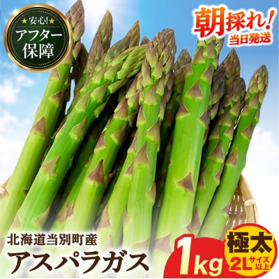 【令和8年発送先行受付】イチカワトモヒロ農場とれたて極太グリーンアスパラ1kg_tb18-001