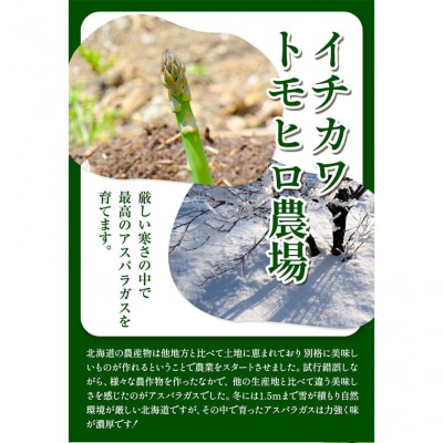 【令和8年発送先行受付】イチカワトモヒロ農場とれたて極太グリーンアスパラ1kg