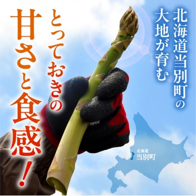 【令和8年発送先行受付】イチカワトモヒロ農場とれたて極太グリーンアスパラ1kg_tb18-001