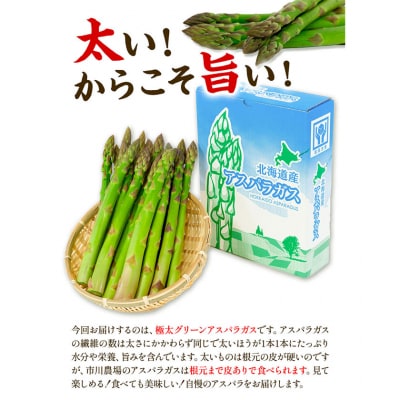 【令和8年発送先行受付】イチカワトモヒロ農場とれたて極太グリーンアスパラ1kg
