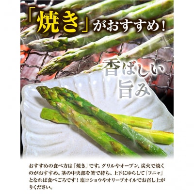 【令和8年発送先行受付】イチカワトモヒロ農場とれたて極太グリーンアスパラ1kg
