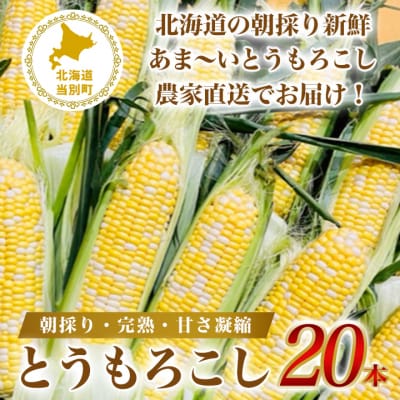 石田ファームとうもろこし20本セット