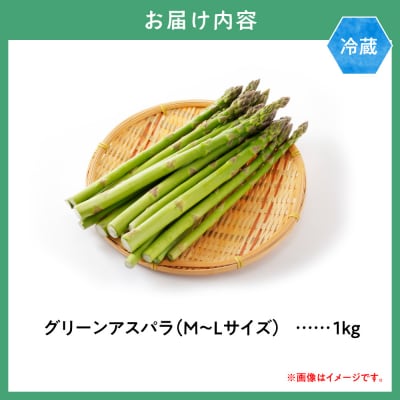 JA北いしかりグリーンアスパラ1kg_tb45-001