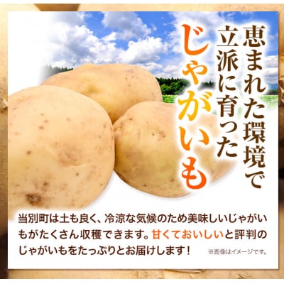 【令和7年発送先行受付】森本農園じゃがいも15kgセット