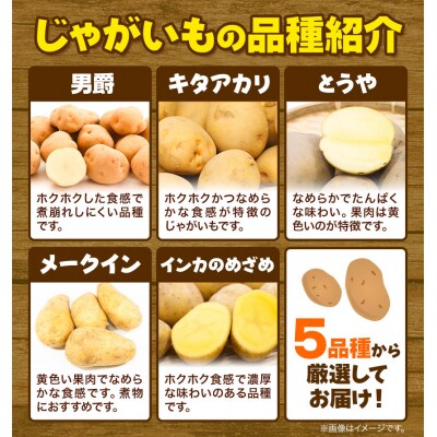 【令和7年発送先行受付】森本農園じゃがいも15kgセット