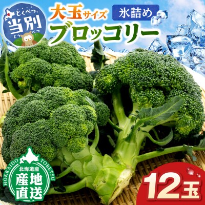 【2026年先行受付】氷詰めブロッコリー縦置き12玉_tb21-001
