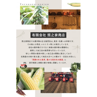 【2026年先行受付】氷詰めブロッコリー縦置き12玉　北海道