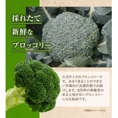 【2026年先行受付】氷詰めブロッコリー縦置き12玉　北海道