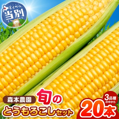 【令和8年発送先行受付】森本農園とうもろこし20本セット_tb20-001