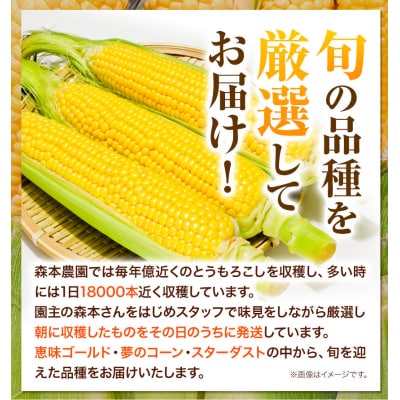 【令和8年発送先行受付】森本農園とうもろこし20本セット